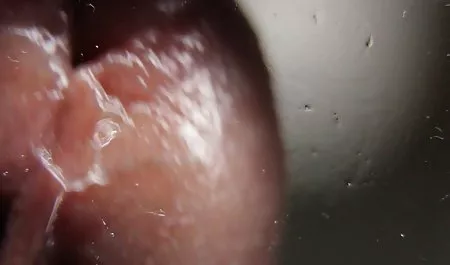 صورت پاره شده Desiree Rose کانال تلگرام کلیپ سکس