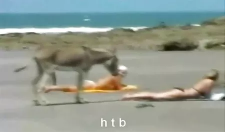 کاشت نازک عکسو گیف سکسی